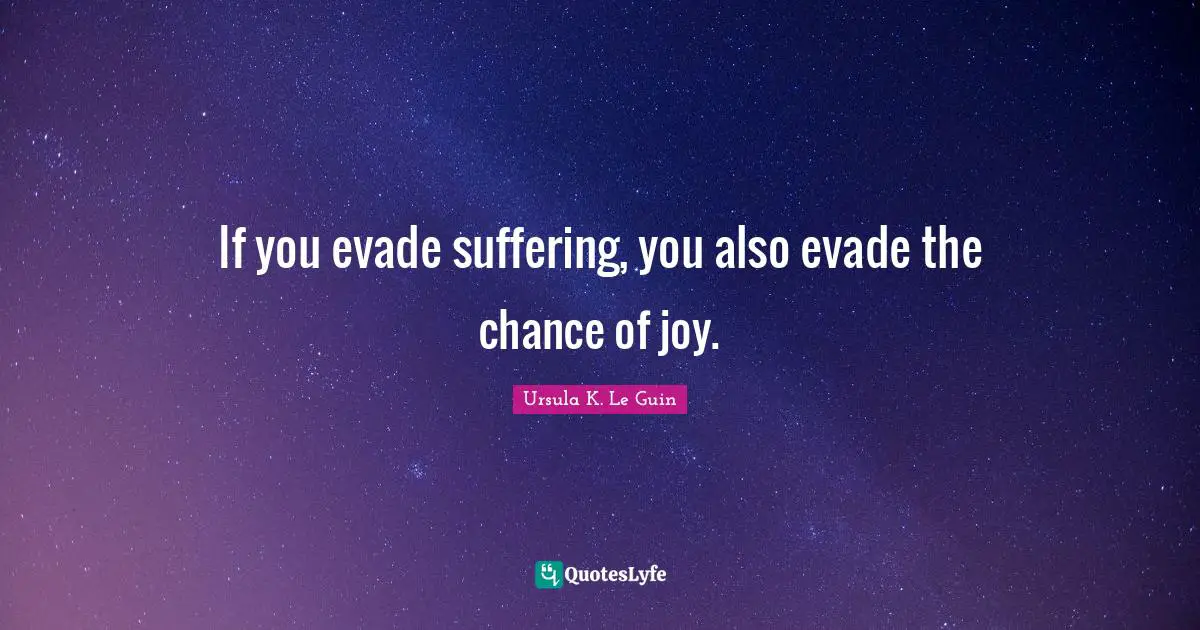 If you evade suffering, you also evade the chance of joy.