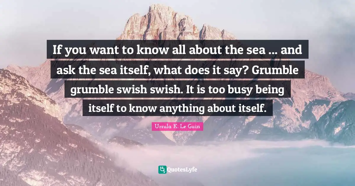 If you want to know all about the sea ... and ask the sea itself, what does it say? Grumble grumble swish swish. It is too busy being itself to know anything about itself.