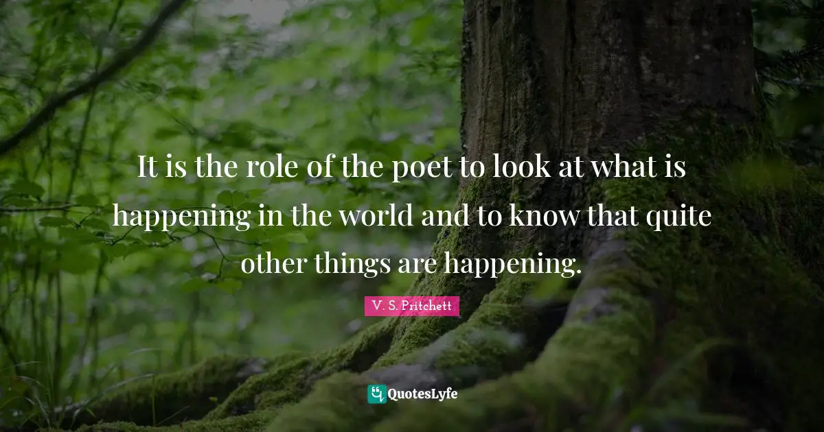 It is the role of the poet to look at what is happening in the world and to know that quite other things are happening.