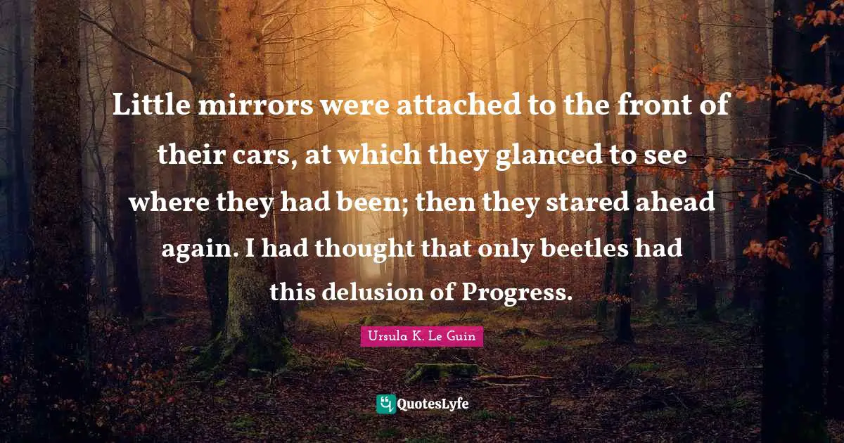 Little mirrors were attached to the front of their cars, at which they glanced to see where they had been; then they stared ahead again. I had thought that only beetles had this delusion of Progress.