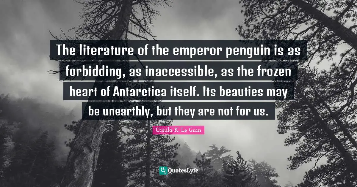 The literature of the emperor penguin is as forbidding, as inaccessible, as the frozen heart of Antarctica itself. Its beauties may be unearthly, but they are not for us.