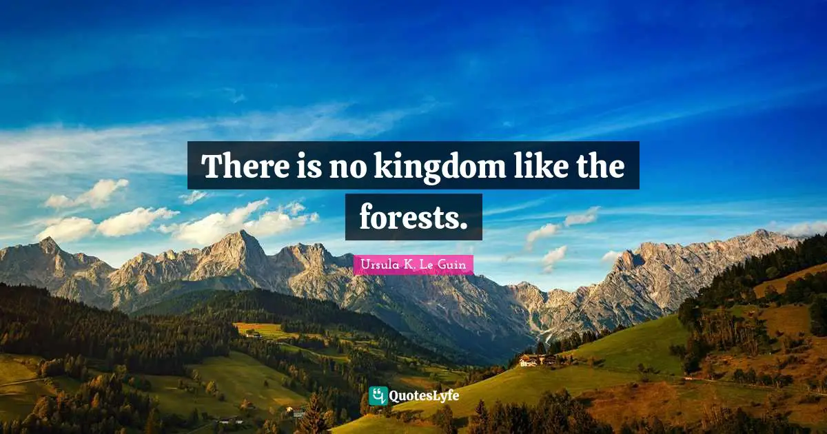 There is no kingdom like the forests.