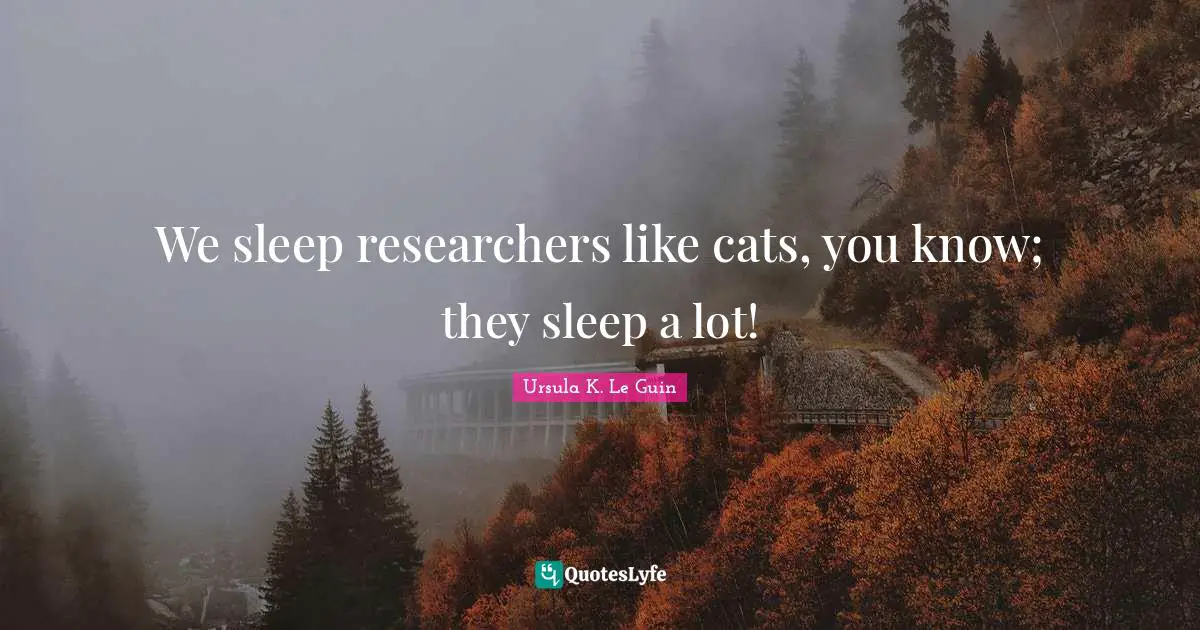 We sleep researchers like cats, you know; they sleep a lot!