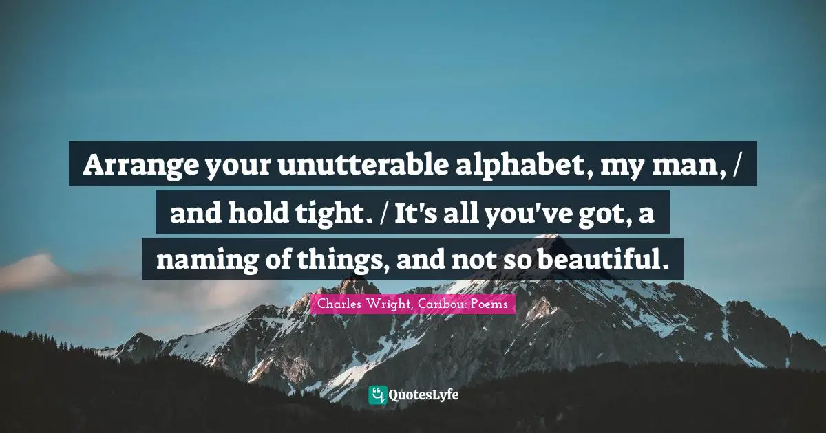 Arrange your unutterable alphabet, my man, / and hold tight. / It's all you've got, a naming of things, and not so beautiful.