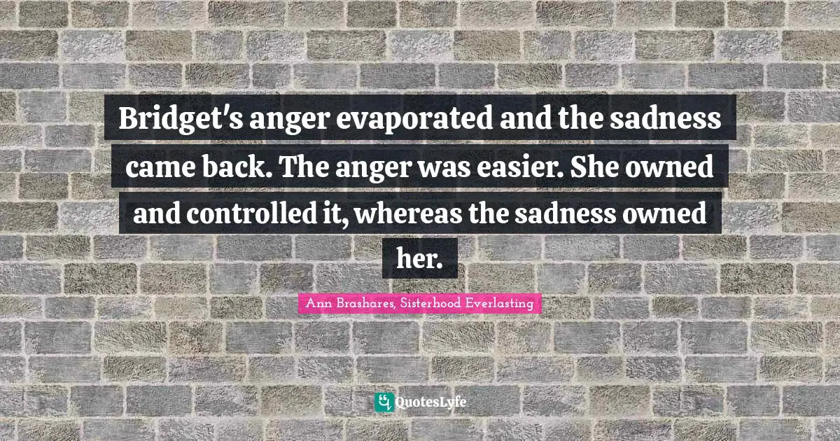 Bridget's anger evaporated and the sadness came back. The anger was easier. She owned and controlled it, whereas the sadness owned her.