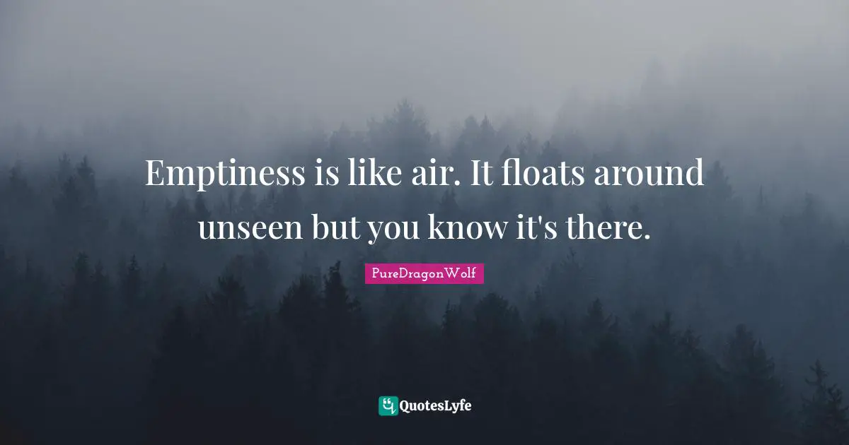 PureDragonWolf Quotes: "Emptiness is like air. It floats around unseen but you know it's there."