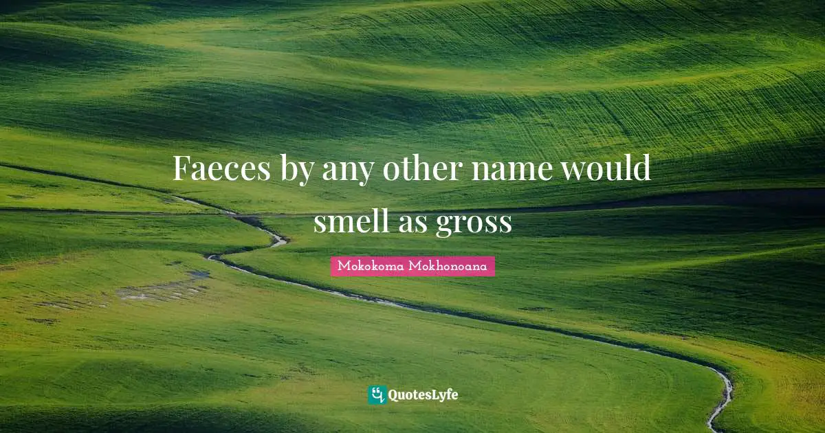 Mokokoma Mokhonoana Quotes: Faeces by any other name would smell as gross