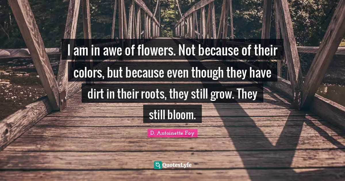 I am in awe of flowers. Not because of their colors, but because even though they have dirt in their roots, they still grow. They still bloom.
