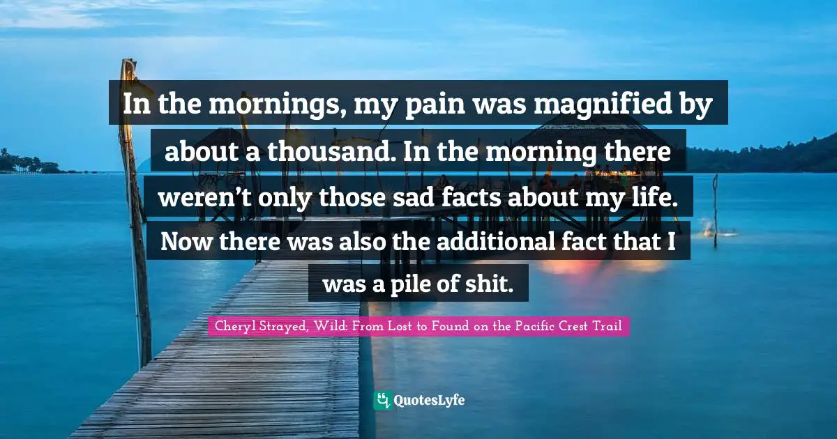 In the mornings, my pain was magnified by about a thousand. In the morning there weren’t only those sad facts about my life. Now there was also the additional fact that I was a pile of shit.