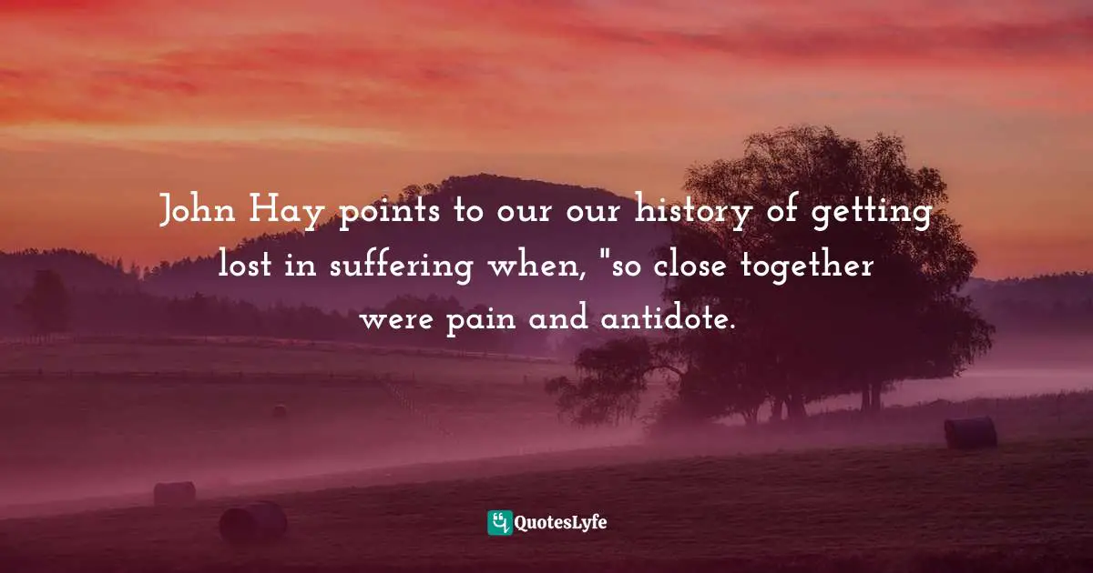 John Hay points to our our history of getting lost in suffering when, "so close together were pain and antidote.
