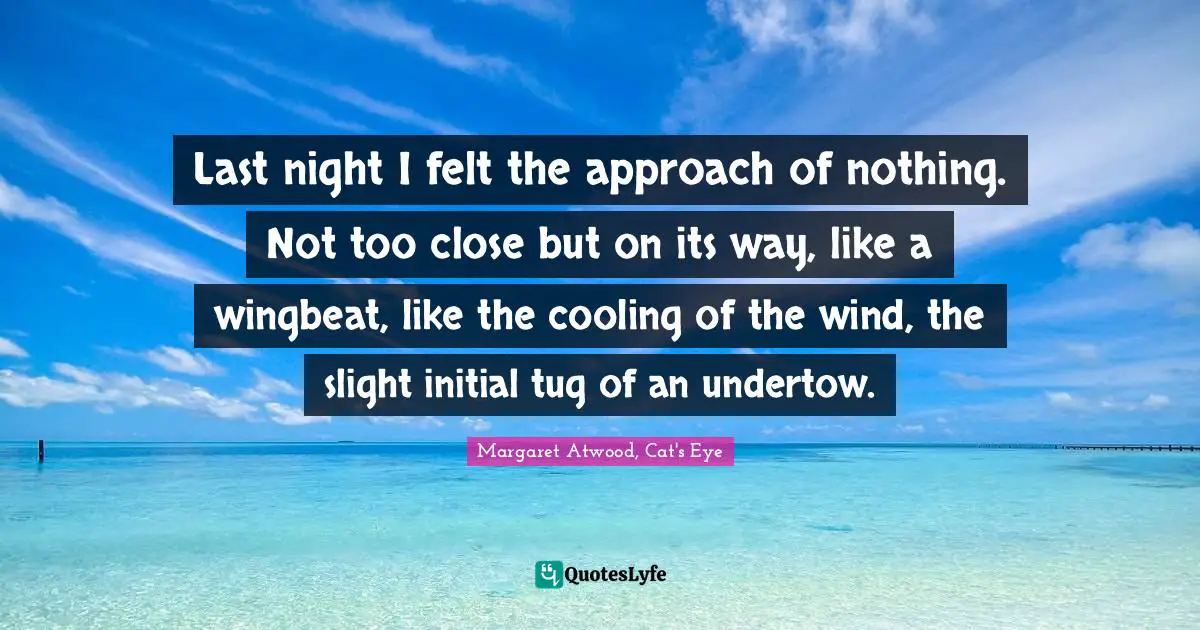 Last night I felt the approach of nothing. Not too close but on its way, like a wingbeat, like the cooling of the wind, the slight initial tug of an undertow.