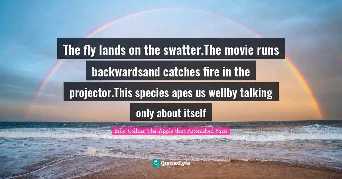 The fly lands on the swatter.The movie runs backwardsand catches fire in the projector.This species apes us wellby talking only about itself