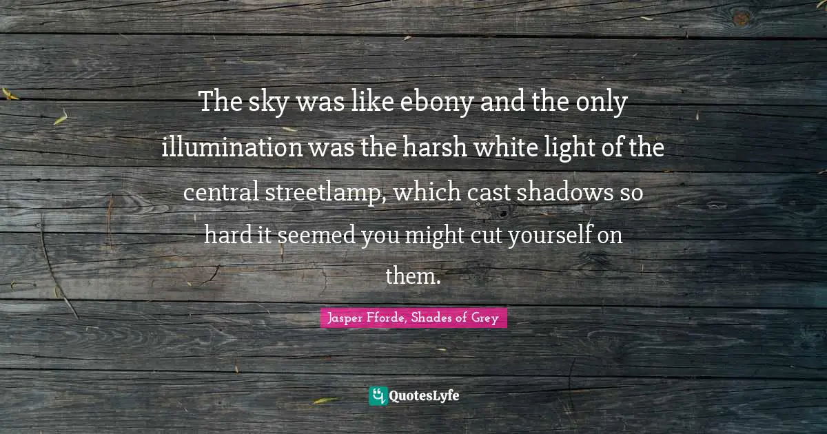 The sky was like ebony and the only illumination was the harsh white light of the central streetlamp, which cast shadows so hard it seemed you might cut yourself on them.