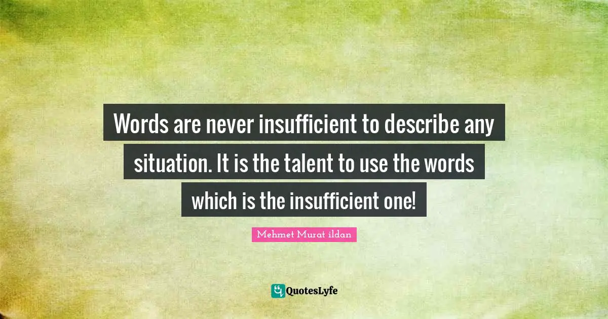 Words are never insufficient to describe any situation. It is the talent to use the words which is the insufficient one!