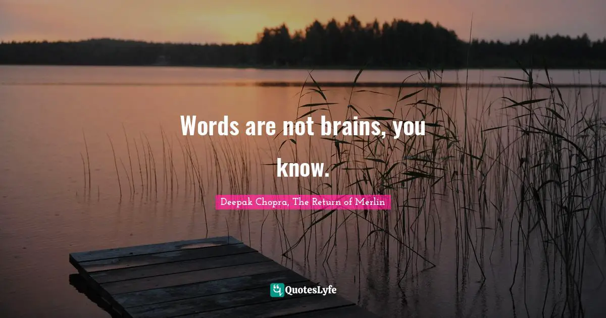 Words are not brains, you know.