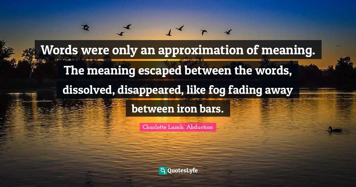 Words were only an approximation of meaning. The meaning escaped between the words, dissolved, disappeared, like fog fading away between iron bars.