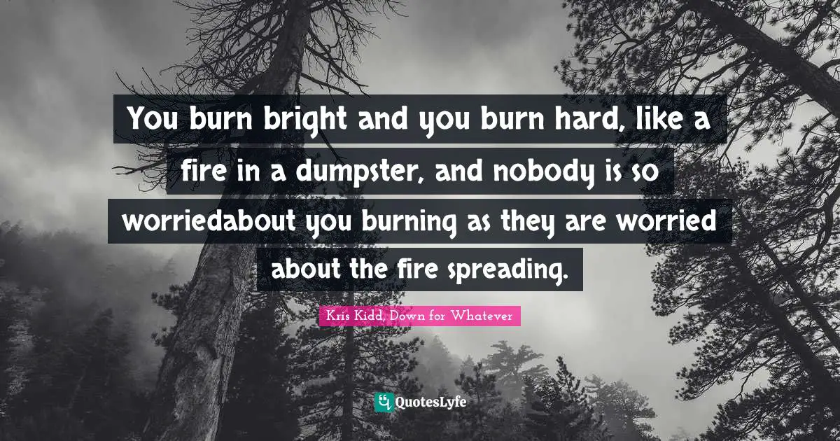 You burn bright and you burn hard, like a fire in a dumpster, and nobody is so worriedabout you burning as they are worried about the fire spreading.