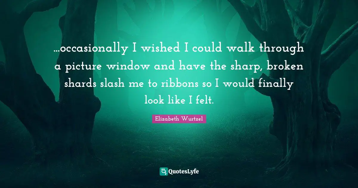 Elizabeth Wurtzel Quotes: "...occasionally I wished I could walk through a picture window and have the sharp, broken shards slash me to ribbons so I would finally look like I felt."