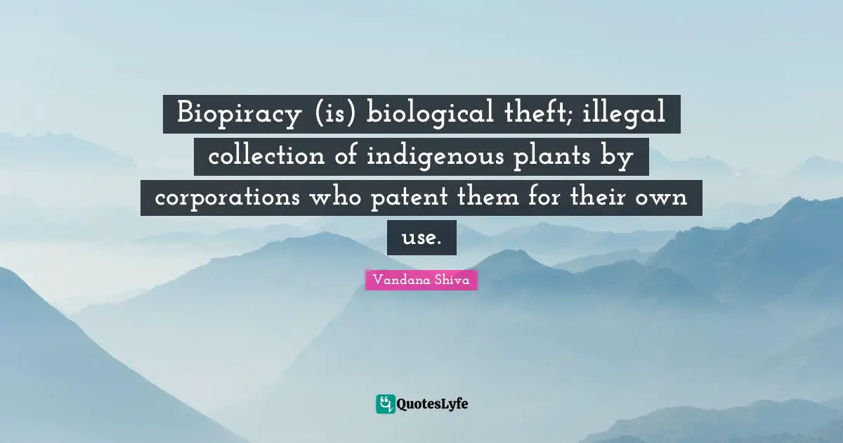 Biopiracy (is) biological theft; illegal collection of indigenous plants by corporations who patent them for their own use.