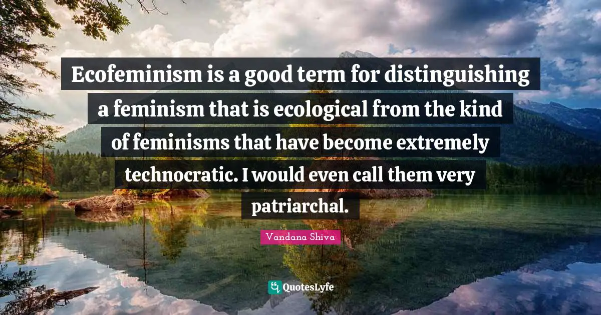 Ecofeminism is a good term for distinguishing a feminism that is ecological from the kind of feminisms that have become extremely technocratic. I would even call them very patriarchal.