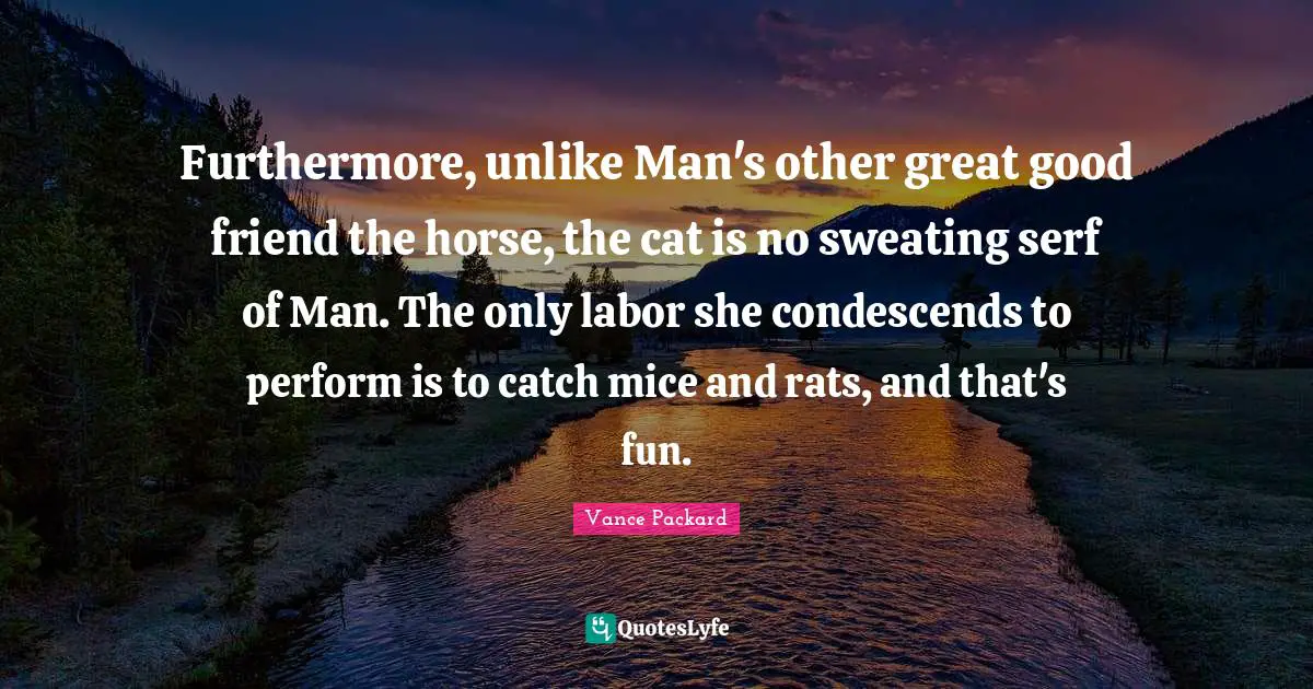 Furthermore, unlike Man's other great good friend the horse, the cat is no sweating serf of Man. The only labor she condescends to perform is to catch mice and rats, and that's fun.