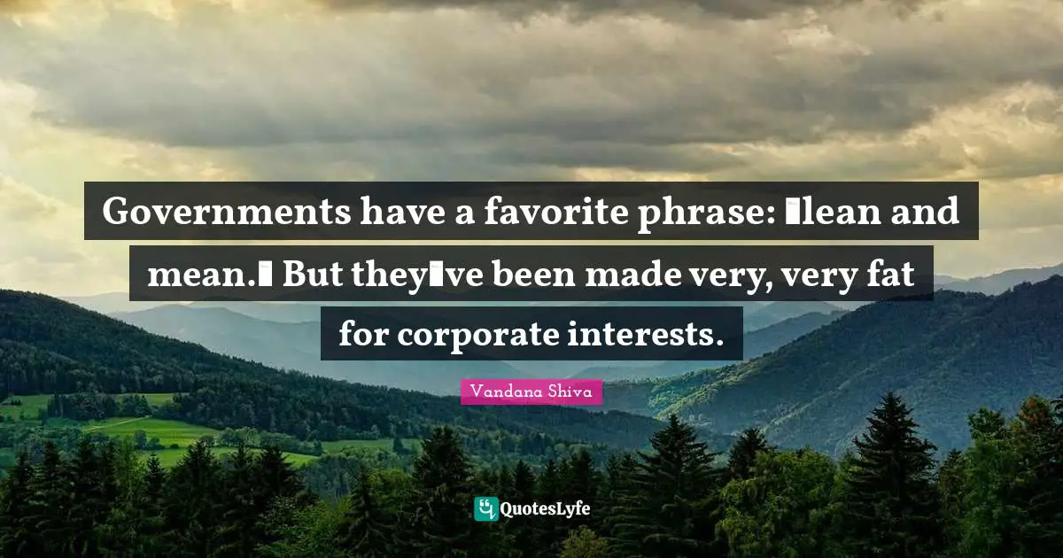 Governments have a favorite phrase: lean and mean. But theyve been made very, very fat for corporate interests.