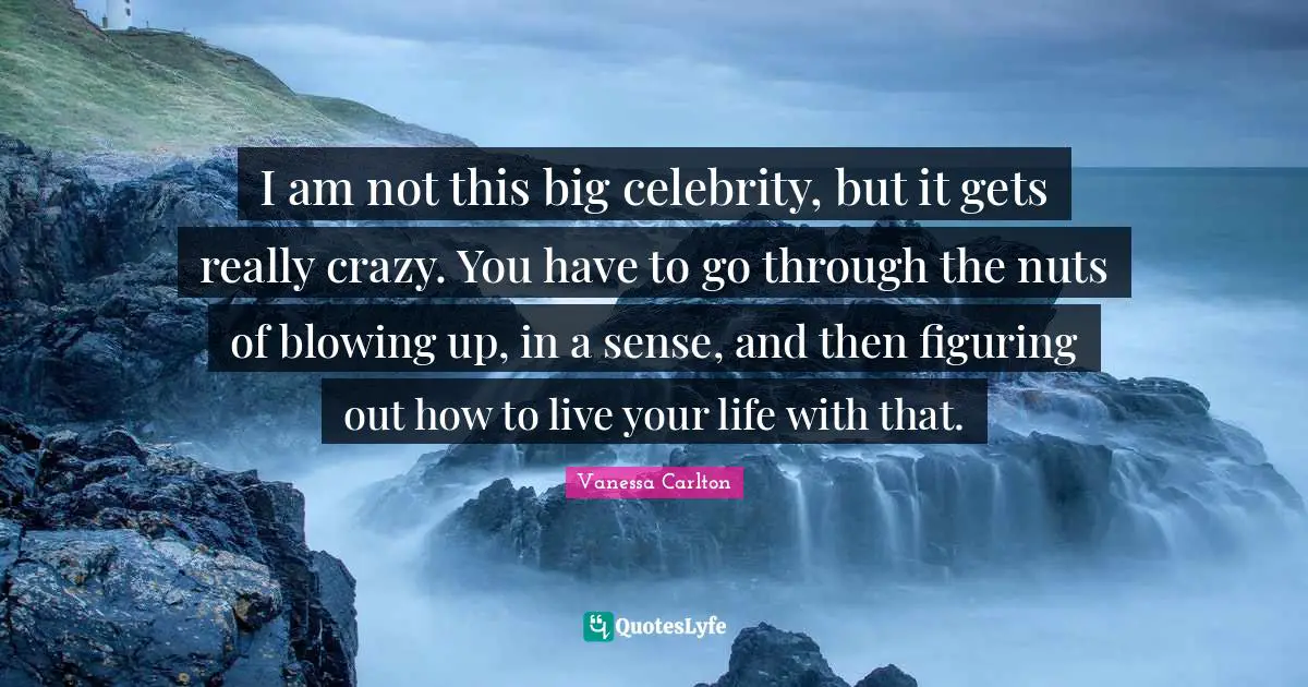 I am not this big celebrity, but it gets really crazy. You have to go through the nuts of blowing up, in a sense, and then figuring out how to live your life with that.