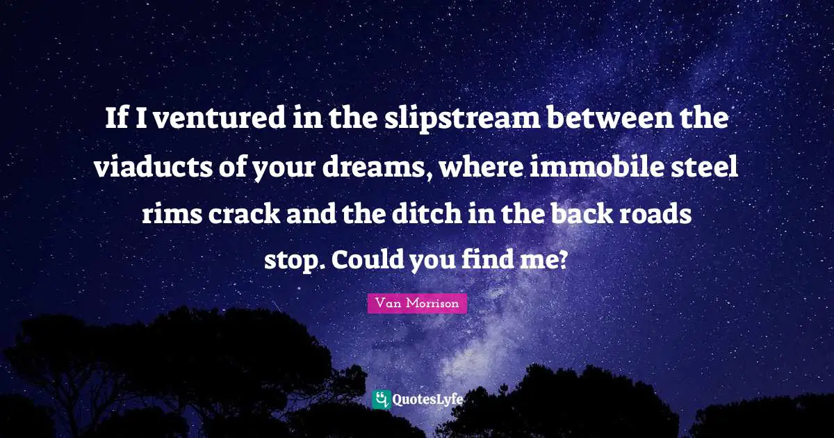 If I ventured in the slipstream between the viaducts of your dreams, where immobile steel rims crack and the ditch in the back roads stop. Could you find me?