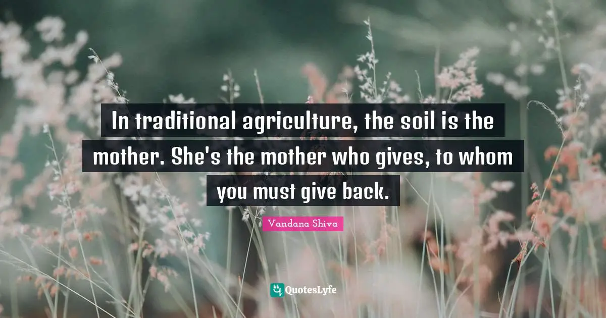 In traditional agriculture, the soil is the mother. She's the mother who gives, to whom you must give back.