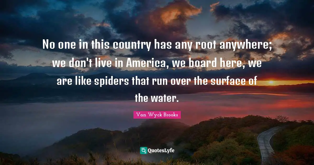 No one in this country has any root anywhere; we don't live in America, we board here, we are like spiders that run over the surface of the water.