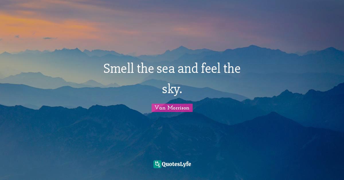 Sea Quotes: "Smell the sea and feel the sky."