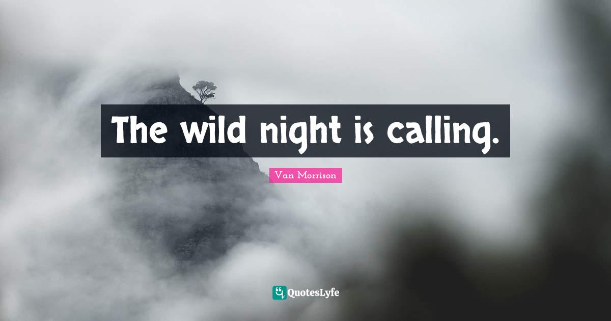 The wild night is calling.