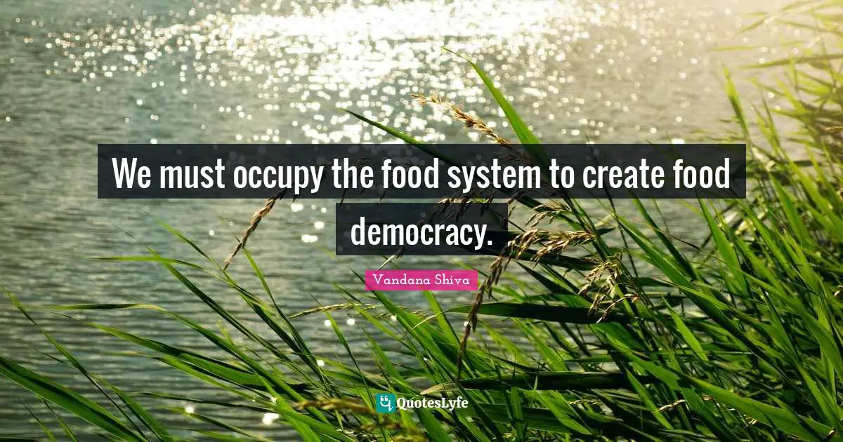 We must occupy the food system to create food democracy.