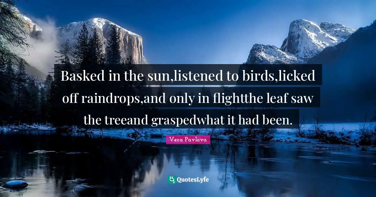 Raindrops Quotes: "Basked in the sun,listened to birds,licked off raindrops,and only in flightthe leaf saw the treeand graspedwhat it had been."