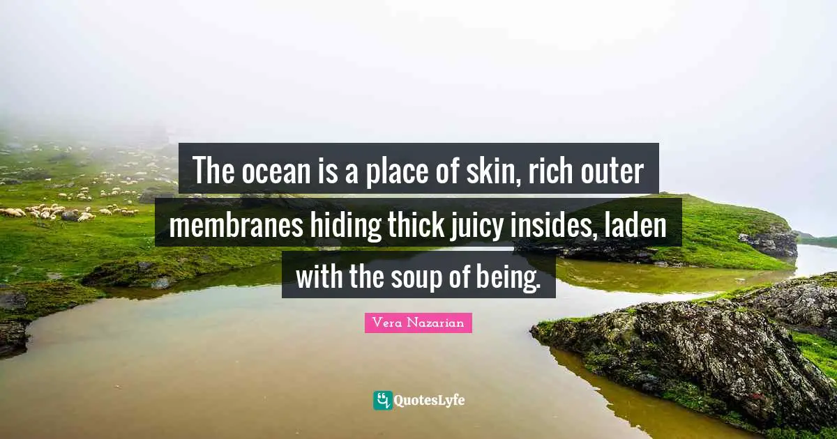 The ocean is a place of skin, rich outer membranes hiding thick juicy insides, laden with the soup of being.