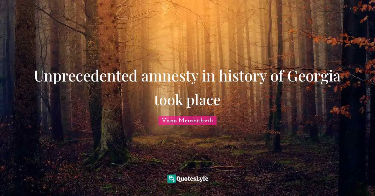 Unprecedented amnesty in history of Georgia took place