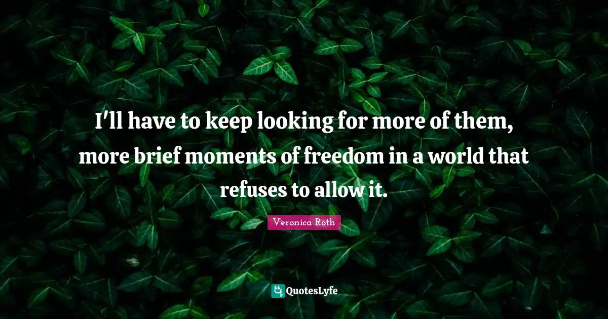 I'll have to keep looking for more of them, more brief moments of freedom in a world that refuses to allow it.