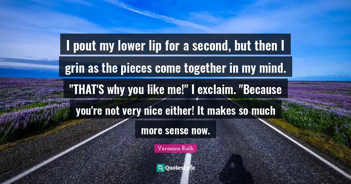 Pieces Quotes: "I pout my lower lip for a second, but then I grin as the pieces come together in my mind. "THAT'S why you like me!" I exclaim. "Because you're not very nice either! It makes so much more sense now."