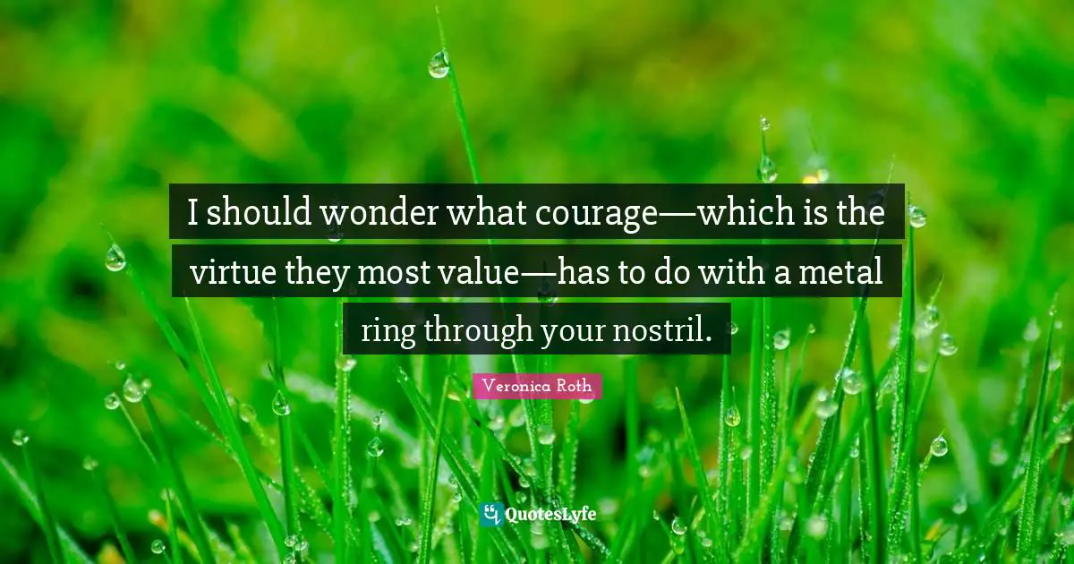 I should wonder what courage—which is the virtue they most value—has to do with a metal ring through your nostril.