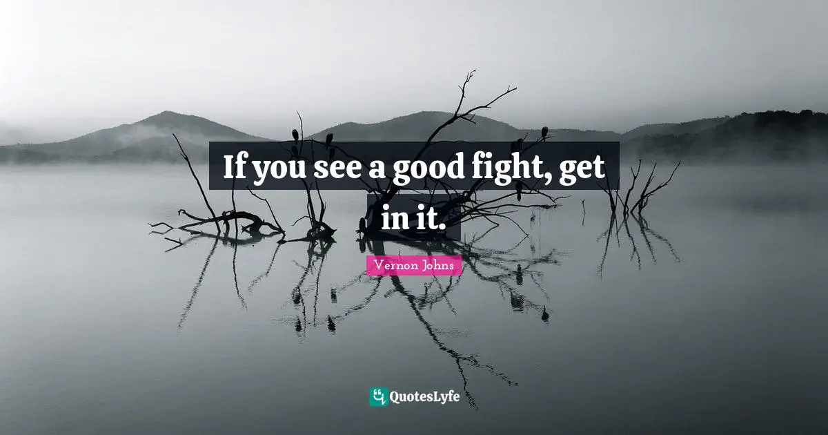 If you see a good fight, get in it.