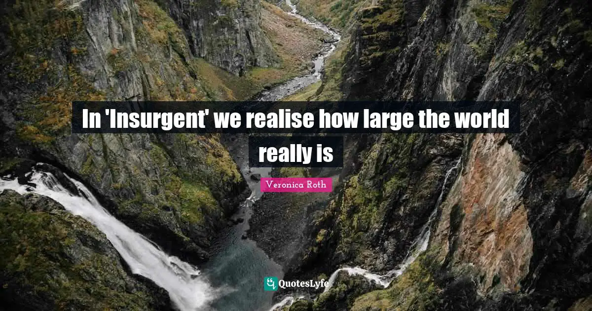 In 'Insurgent' we realise how large the world really is