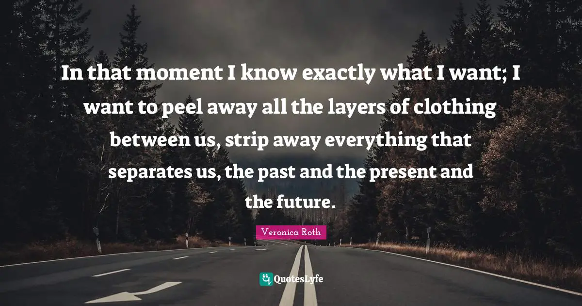 In that moment I know exactly what I want; I want to peel away all the layers of clothing between us, strip away everything that separates us, the past and the present and the future.