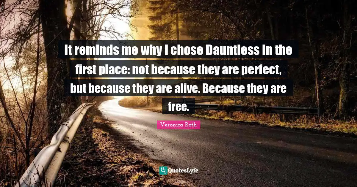 It reminds me why I chose Dauntless in the first place: not because they are perfect, but because they are alive. Because they are free.