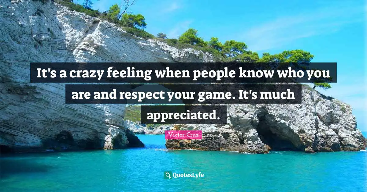 Victor Cruz Quotes: "It's a crazy feeling when people know who you are and respect your game. It's much appreciated."