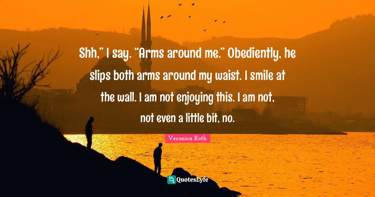 Shh,” I say. “Arms around me.” Obediently, he slips both arms around my waist. I smile at the wall. I am not enjoying this. I am not, not even a little bit, no.