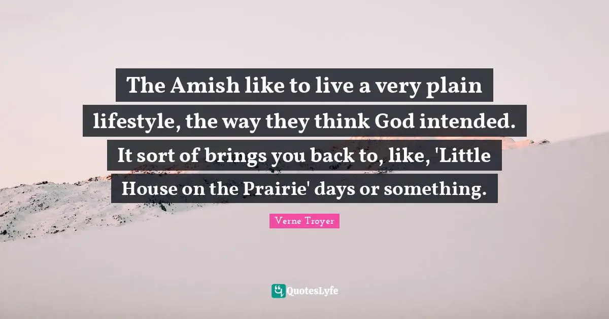 The Amish like to live a very plain lifestyle, the way they think God intended. It sort of brings you back to, like, 'Little House on the Prairie' days or something.