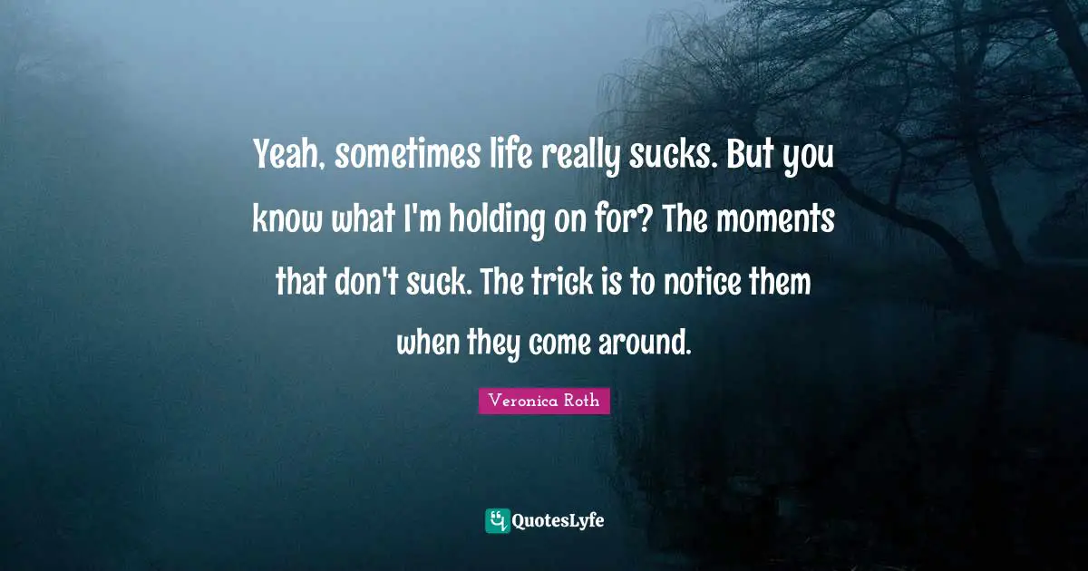 Yeah, sometimes life really sucks. But you know what I'm holding on for? The moments that don't suck. The trick is to notice them when they come around.