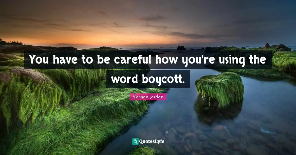 Careful Quotes: "You have to be careful how you're using the word boycott."