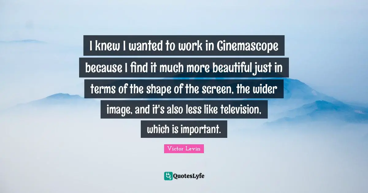 I knew I wanted to work in Cinemascope because I find it much more beautiful just in terms of the shape of the screen, the wider image, and it's also less like television, which is important.