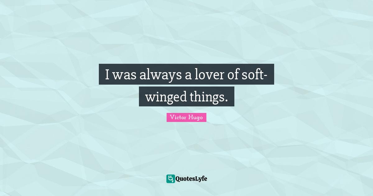 I was always a lover of soft-winged things.